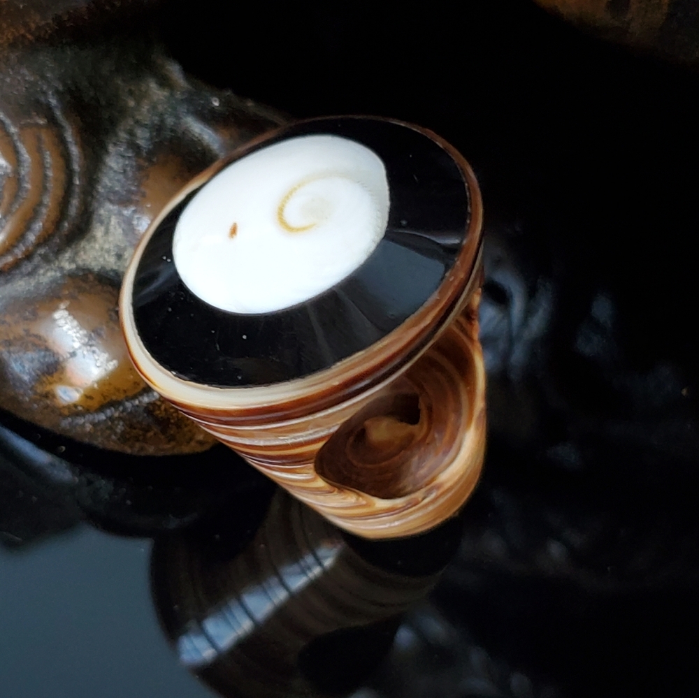 Carved Seashell Spiral Ring Statement Mermaid Cor… - image 1